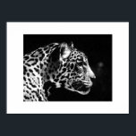 Jaguar Pop Art Poster Skriv ut - Jaguar Poster<br><div class="desc">Black & White Jaguar Porträtt Poster - Pop Art Jaguar Image - Big Vild katt Prints - the Head of the Jaguar - Ansikte of Jaguar</div>