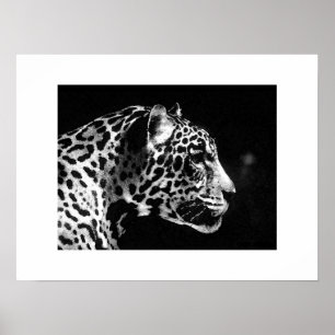 Jaguar Pop Art Poster Skriv ut - Jaguar Poster