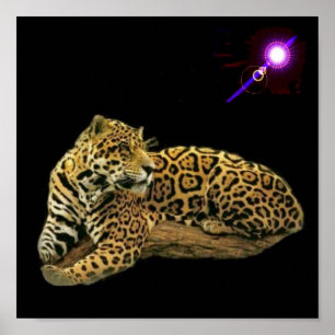 Jaguar Poster