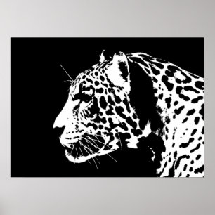 Jaguar Poster Skriv ut - Jaguar Poster