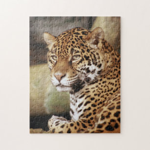 Jaguar-pussel Pussel