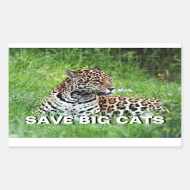 Jaguar Rektangulärt Klistermärke