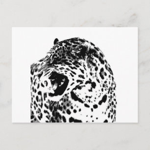 Jaguar Roaring Vykort