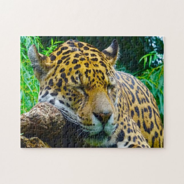 Jaguar Stora Katter . Pussel (Horisontell)