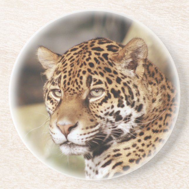 Jaguar Underlägg (Framsidan)