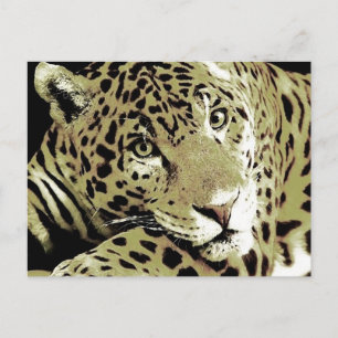 Jaguar Vykort