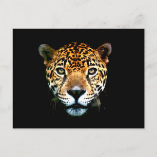 Jaguar Vykort