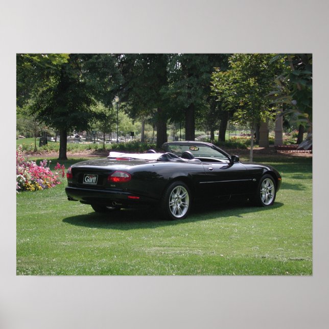 Jaguar XK8 Convertible Poster (Framsidan)