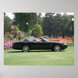 Jaguar XK8 Konvertibel Poster