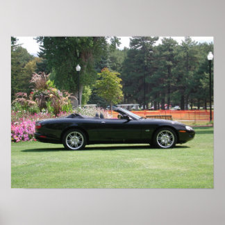 Jaguar XK8 Konvertibel Poster