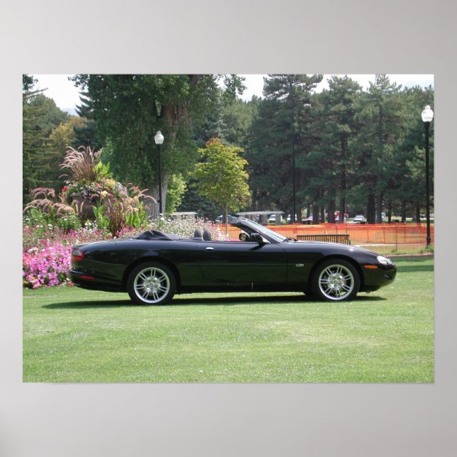 Jaguar XK8 Konvertibel Poster (Framsidan)