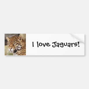Jaguarbildekal Bildekal