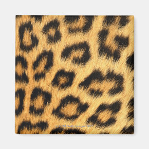 Jaguarpäls Magnet