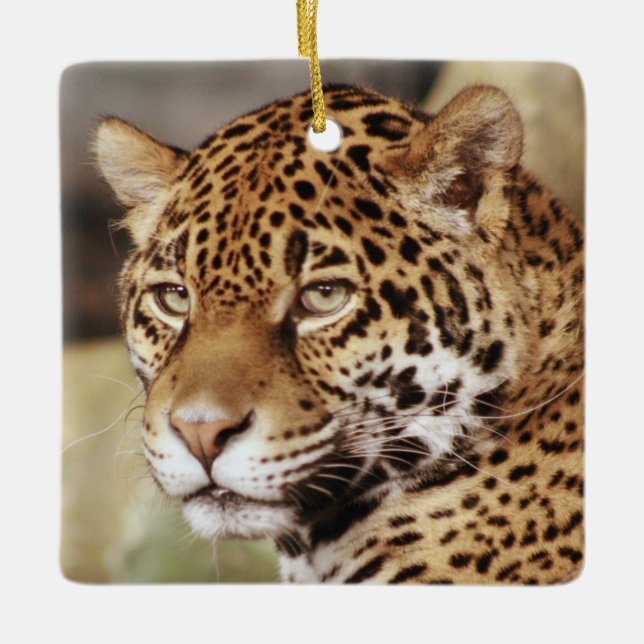 Jaguarprydnad Julgransprydnad Keramik (Framsida)