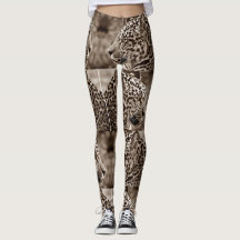 Jaguars