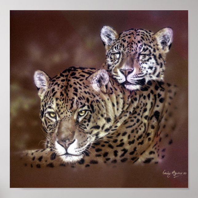 Jaguars Poster (Framsidan)