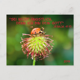 Jahrestext 2019 vykort