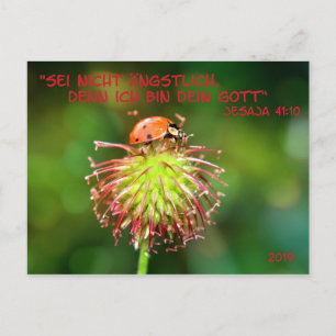 Jahrestext 2019 vykort