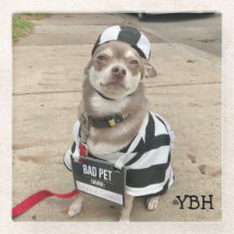 Jail Bird Huey