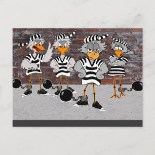 Jailbirdvykort Vykort