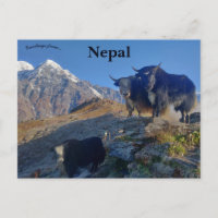 Jakar i Nepal