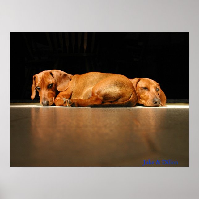 Jake & Dillon Poster (Framsidan)