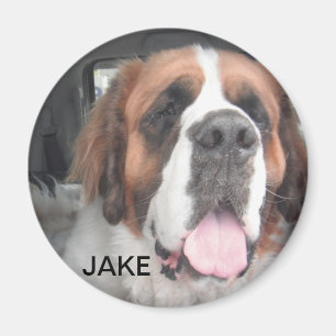 JAKE-MAGNET MAGNET