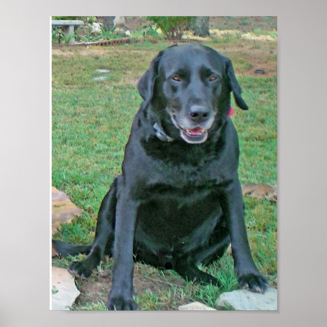 Jake Smiles Poster (Framsidan)