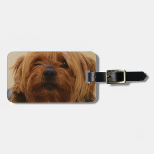 Jake Yorkie Terrier Bagagebricka