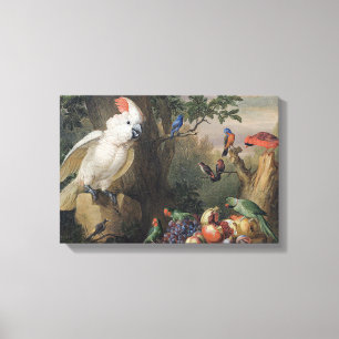 Jakob Bogdani Birds and Fruit in a Ligcape Canvastryck
