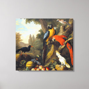 Jakob bogdani Two Macaws a Cockatoo a Red-billed Canvastryck