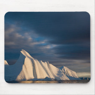 Jakobshavn Isfjord Grönland Musmatta