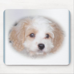 Jakt Cavachon Mousepad Musmatta