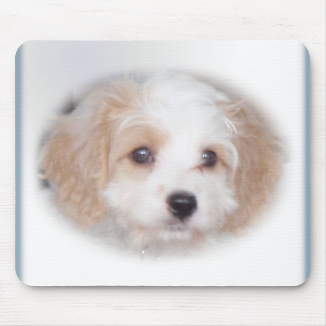 Jakt Cavachon Mousepad Musmatta (Framsidan)