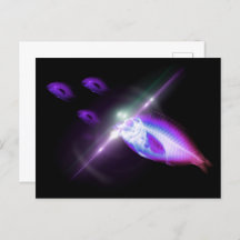 Jakt Dinner X-Ray Fish 6