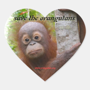 Jakt en ny orangutanföräldralös hjärtformat klistermärke