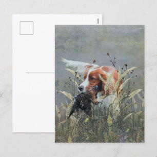 Jakt med Epagneul Breton Helg Vykort