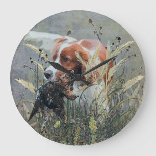 Jakt med Epagneul Breton Stor Klocka
