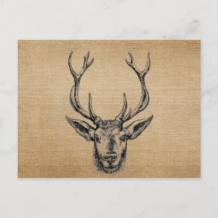 Jakt på Burlap Vintage Hjort Head Vykort