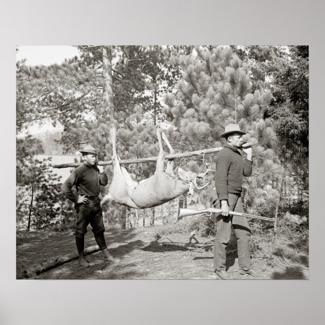 Jakt på hjort, 1902. Gammalt foto Poster (Framsidan)