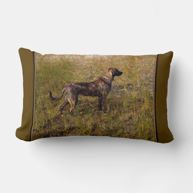 Jakt Plott Hound  Kastkudde Lumbarkudde (Framsida)