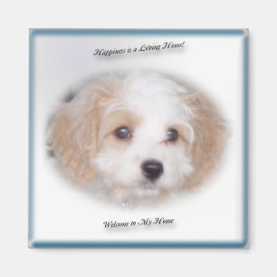 JaktCavachon magnet