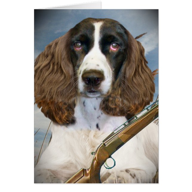 Jakter för Spaniel för engelsk Springer Hälsningskort (Framsidan)