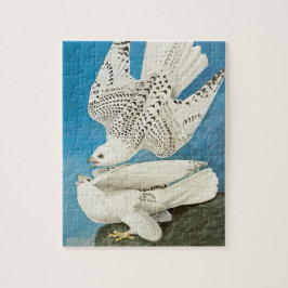 Jaktfalkar, aka Gerfalcons av John James Audubon Pussel