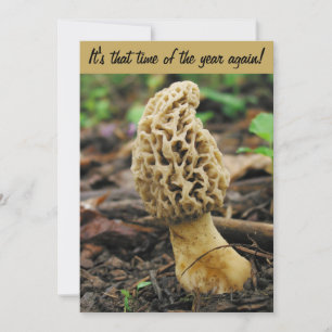 Jaktinbjudan till Morel Mushroom Inbjudningar
