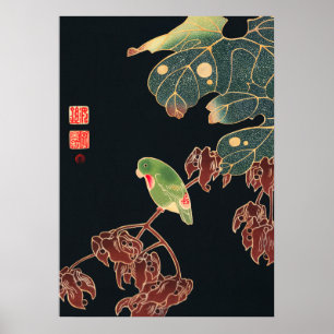 Jakuchu - Paroquet Poster