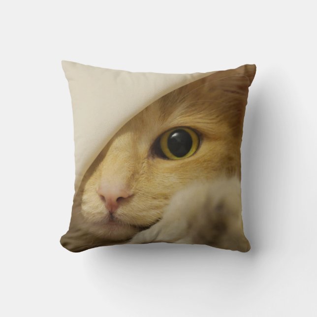 JAMA! Att leka för katt peekabo-KUDDER Kudde (Framsida)