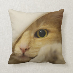 JAMA! Att leka för katt peekabo-KUDDER Kudde