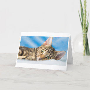 Jama jamar katten helgkort