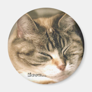 Jama… Magnet